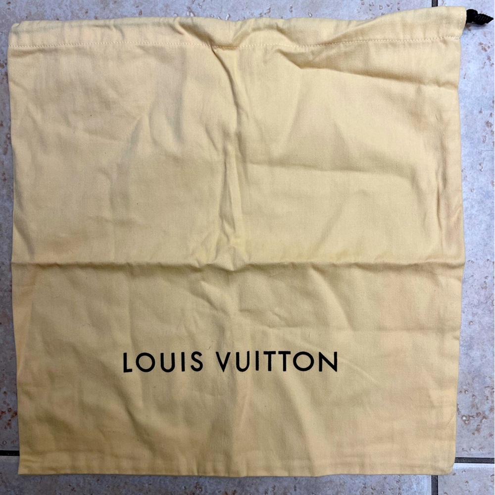 Small clutch Louis Vuitton Dust Bag-never used